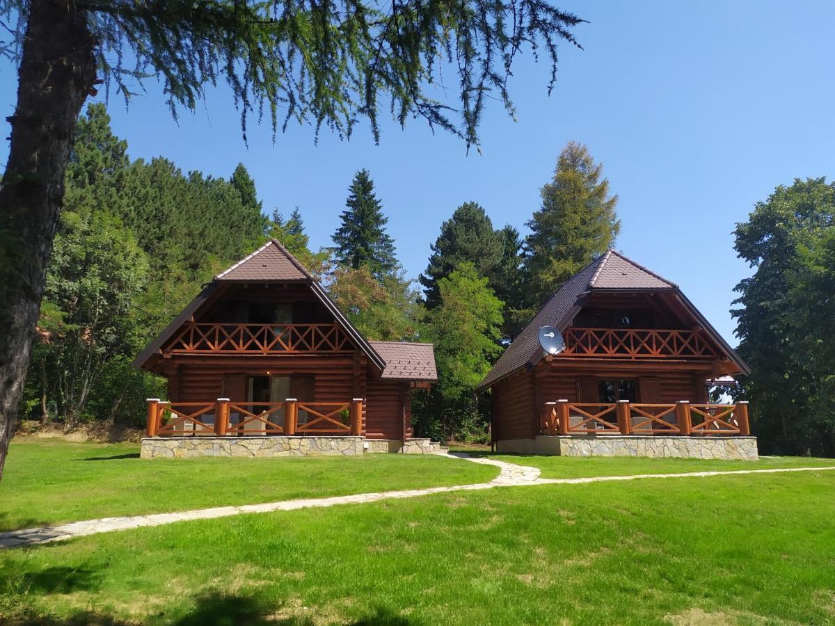 Willa Brvnare Park Borova Zlatibor Zewnętrze zdjęcie
