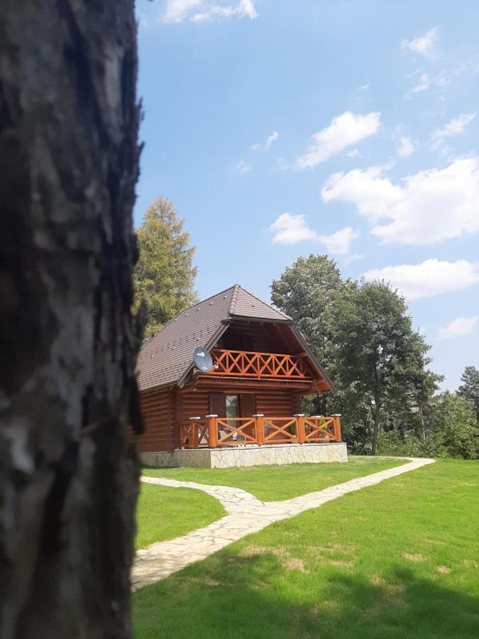 Willa Brvnare Park Borova Zlatibor Zewnętrze zdjęcie