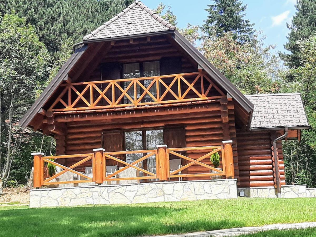 Willa Brvnare Park Borova Zlatibor Zewnętrze zdjęcie