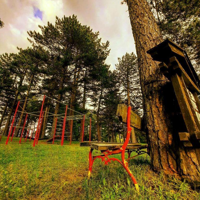 Willa Brvnare Park Borova Zlatibor Zewnętrze zdjęcie