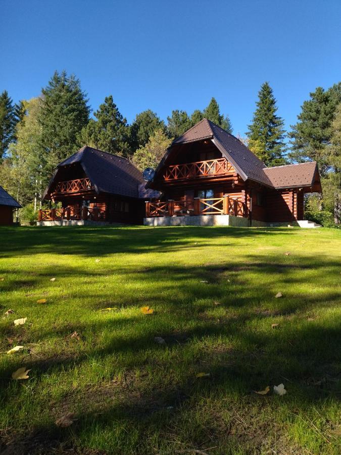 Willa Brvnare Park Borova Zlatibor Zewnętrze zdjęcie