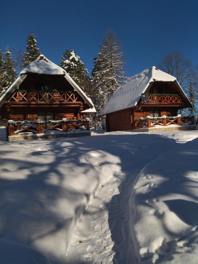 Willa Brvnare Park Borova Zlatibor Zewnętrze zdjęcie