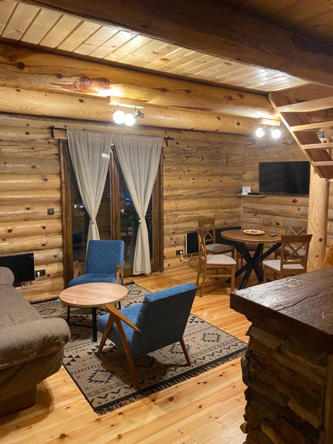 Willa Brvnare Park Borova Zlatibor Zewnętrze zdjęcie