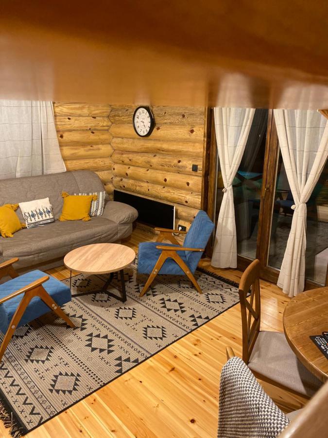 Willa Brvnare Park Borova Zlatibor Zewnętrze zdjęcie