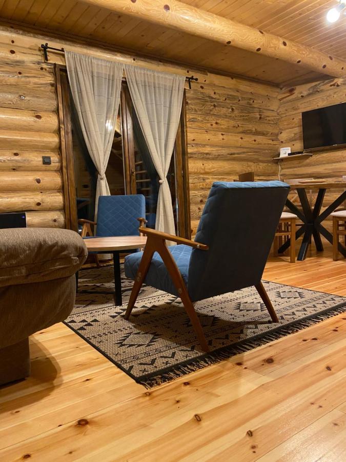 Willa Brvnare Park Borova Zlatibor Zewnętrze zdjęcie
