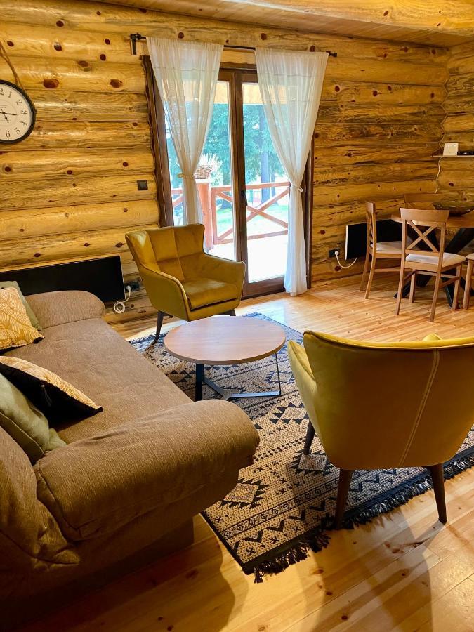 Willa Brvnare Park Borova Zlatibor Zewnętrze zdjęcie
