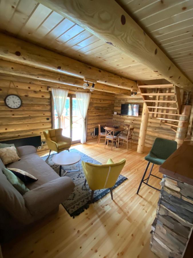 Willa Brvnare Park Borova Zlatibor Zewnętrze zdjęcie