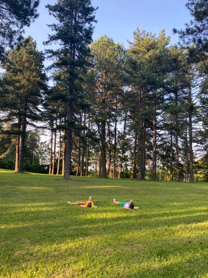 Willa Brvnare Park Borova Zlatibor Zewnętrze zdjęcie